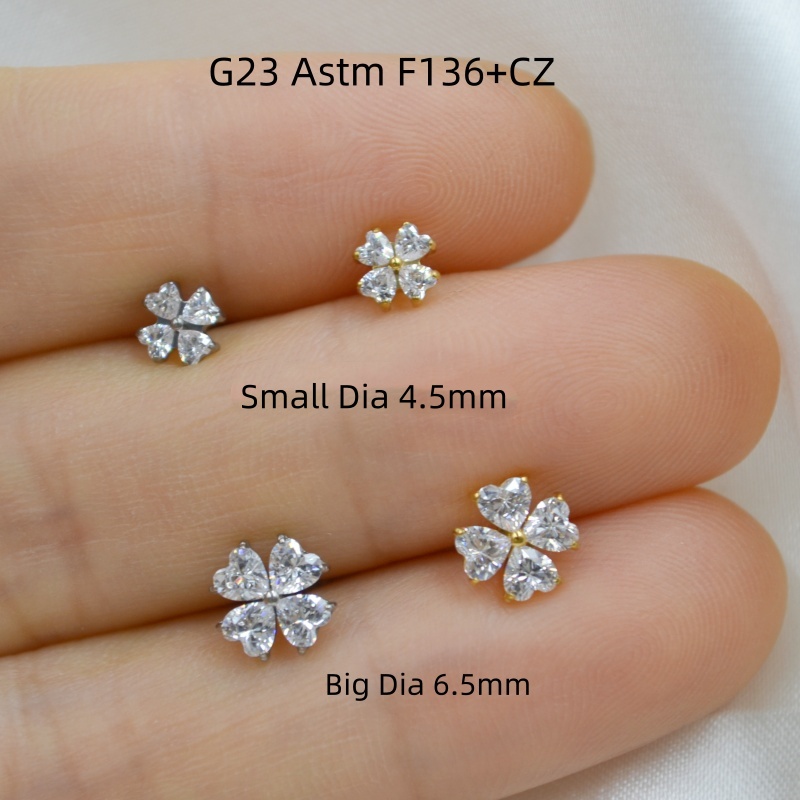 AMIGATINA卸売店 10個入り G23チタン ASTM - Body Jewelry In Store のレビューと価格