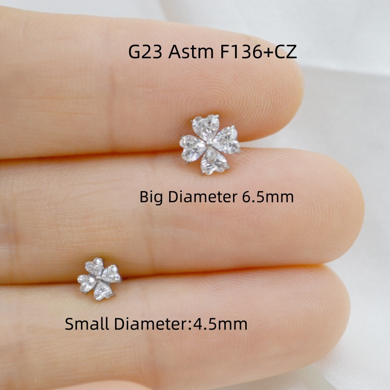 AMIGATINA卸売店 10個入り G23チタン ASTM - Body Jewelry In Store のレビューと価格