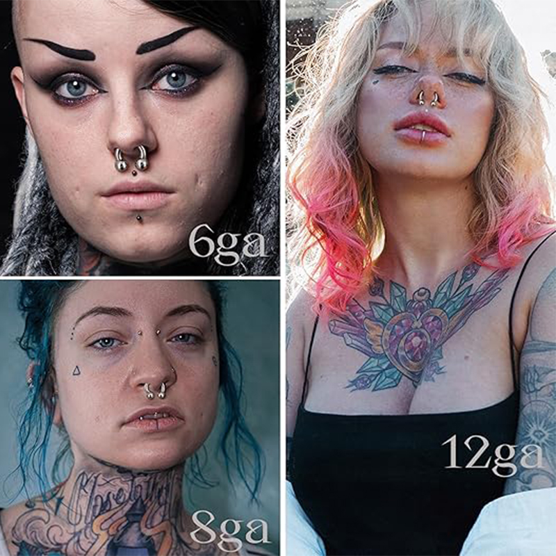 1PC 18G-00G 大型ゲージステンレス鋼馬蹄リングセプ - Body Jewelry Gauges のレビューと価格